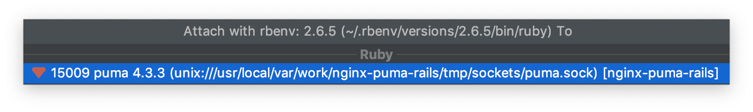 RubyMineでUNIXドメインソケット通信なRailsアプリをデバッグする方法